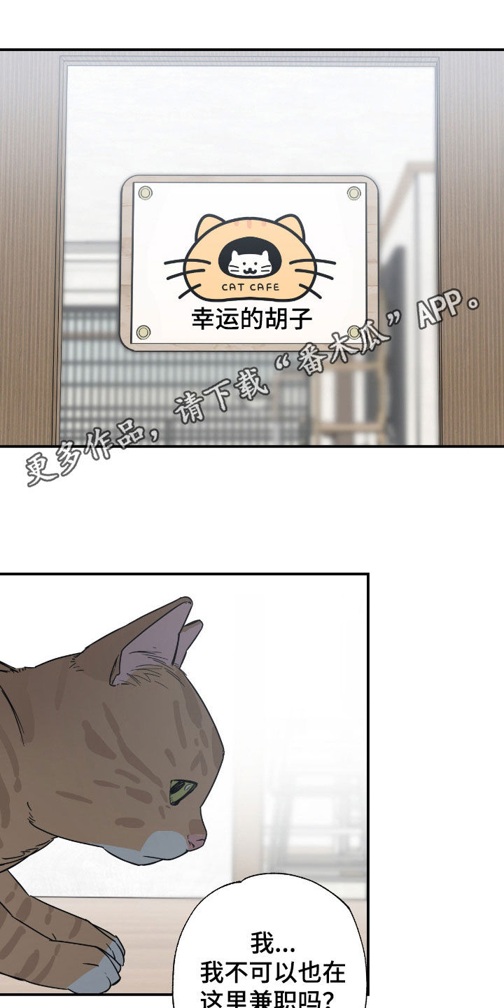 猫大爷和我漫画,第25章：只是朋友1图