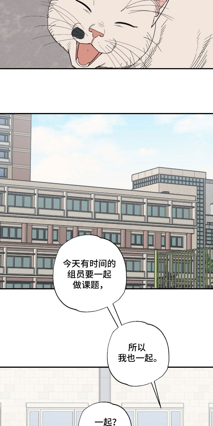 猫大爷和我漫画,第23章：用心学习3图