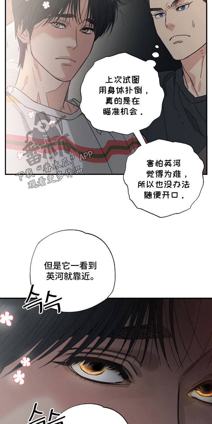 猫大爷和我漫画,第20章：不知分寸4图