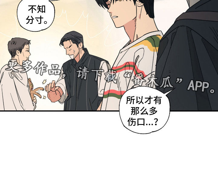 猫大爷和我漫画,第20章：不知分寸2图