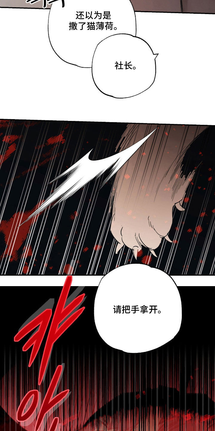 猫大爷和我漫画,第20章：不知分寸5图