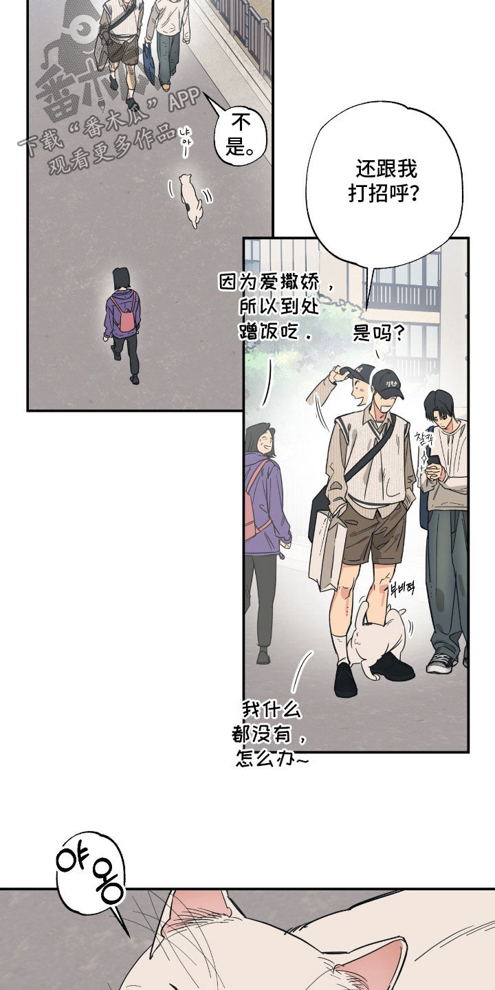 猫大爷和我漫画,第23章：用心学习2图