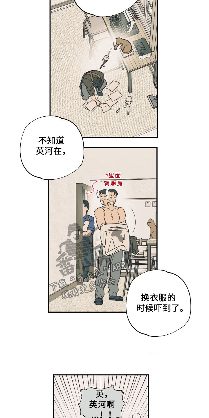 猫大爷和我漫画,第20章：不知分寸3图