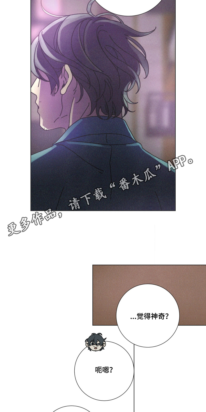 遗忘的咒语漫画,第7章：只要不伤害我2图