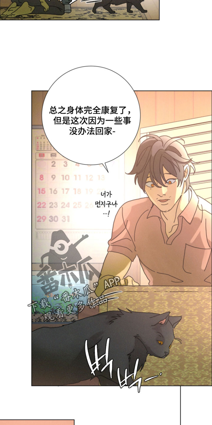 遗忘的咒语漫画,第18章：你也许会讨厌我4图