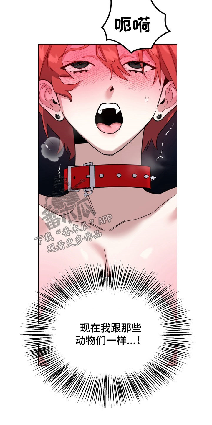 恋人是个调皮鬼漫画,第16章：真的疯了3图