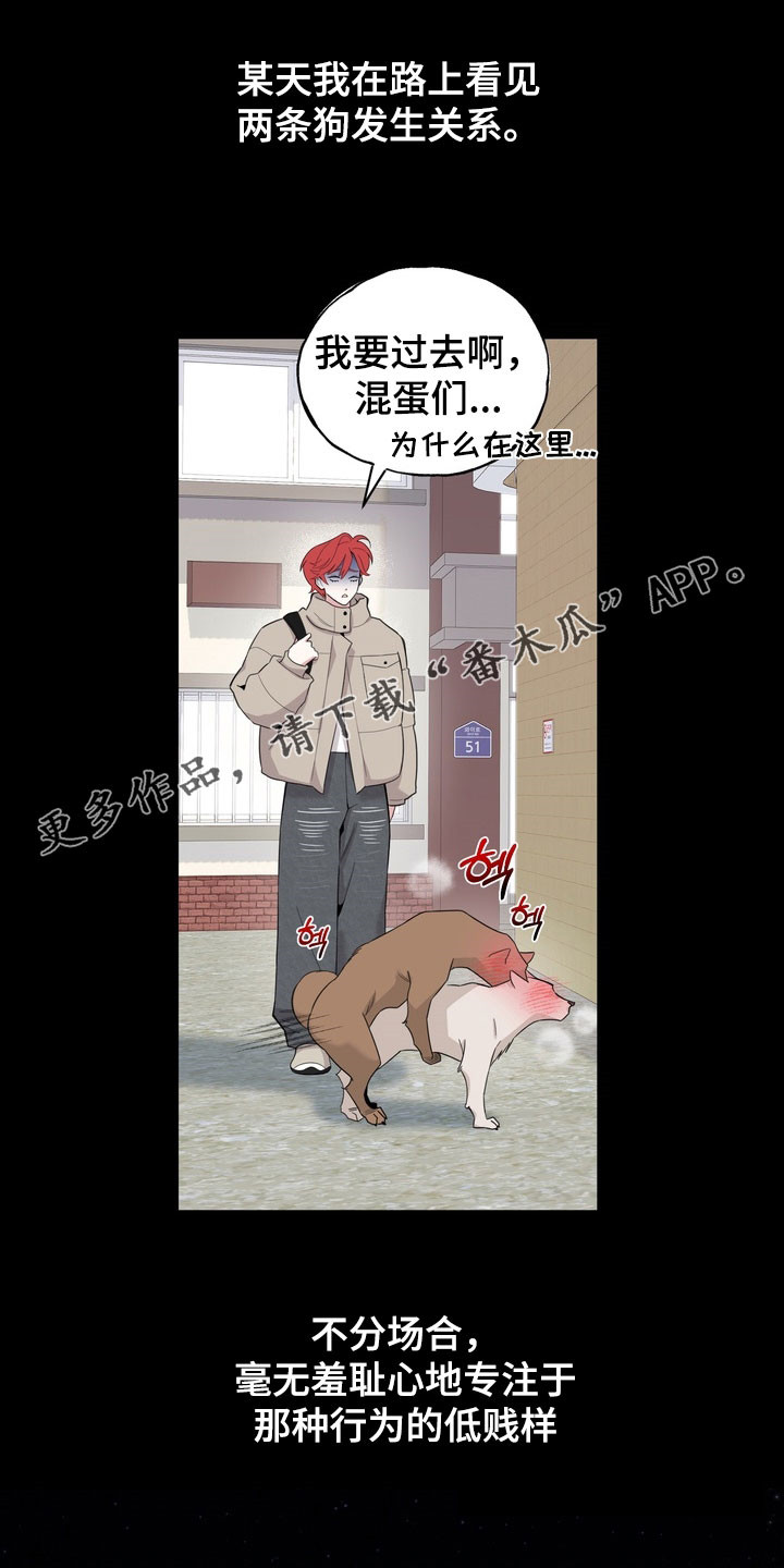 恋人是个调皮鬼漫画,第16章：真的疯了1图