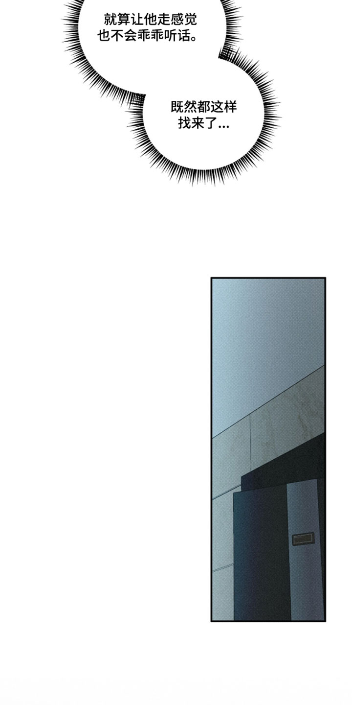 错误门牌号漫画,第20章：我全都告诉你4图