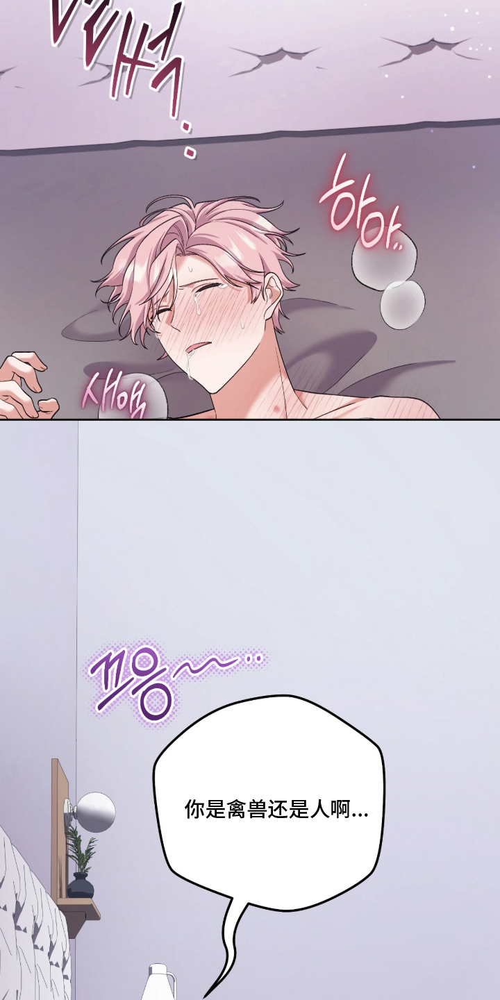 看不见的粉丝漫画,第8章：完蛋了1图