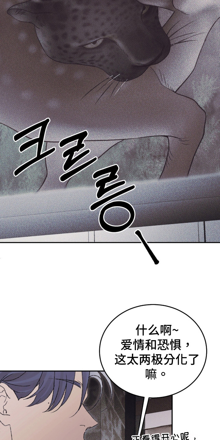心跳暗码漫画,第2章：一见钟情4图
