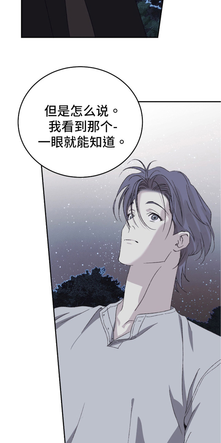 心跳暗码漫画,第18章：星空4图