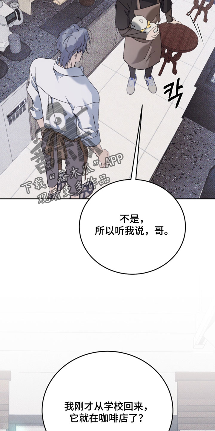 心跳暗码漫画,第19章：吉祥物1图