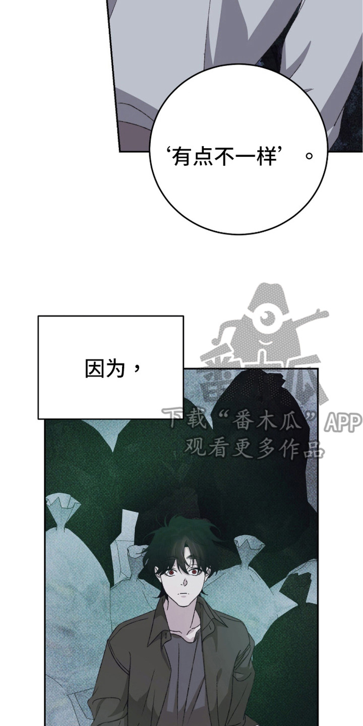 心跳暗码漫画,第18章：星空5图