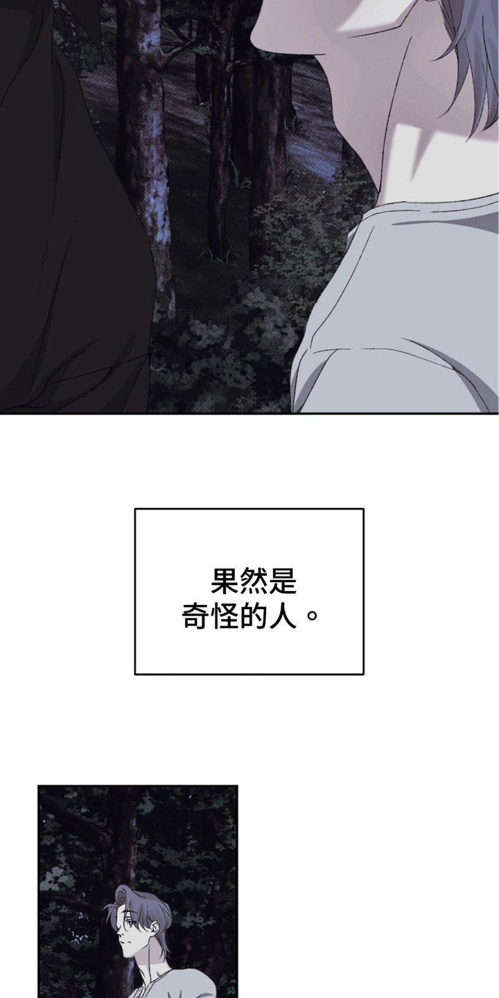 心跳暗码漫画,第17章：很奇怪4图