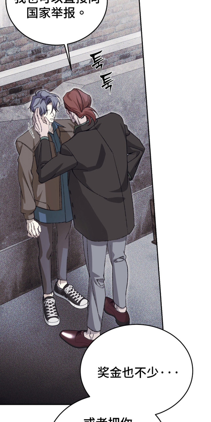 心跳暗码漫画,第5章：强新企业5图
