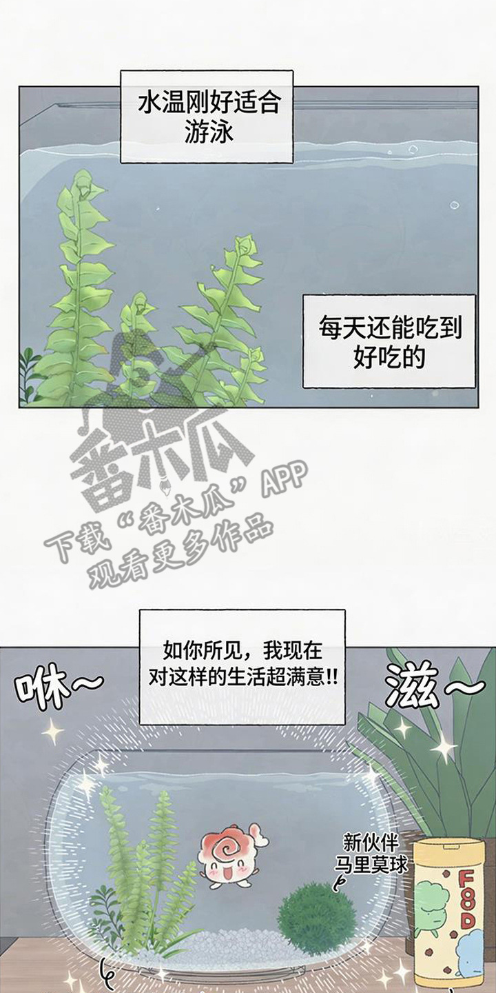 鱼水情深漫画,第2章：金鱼4图