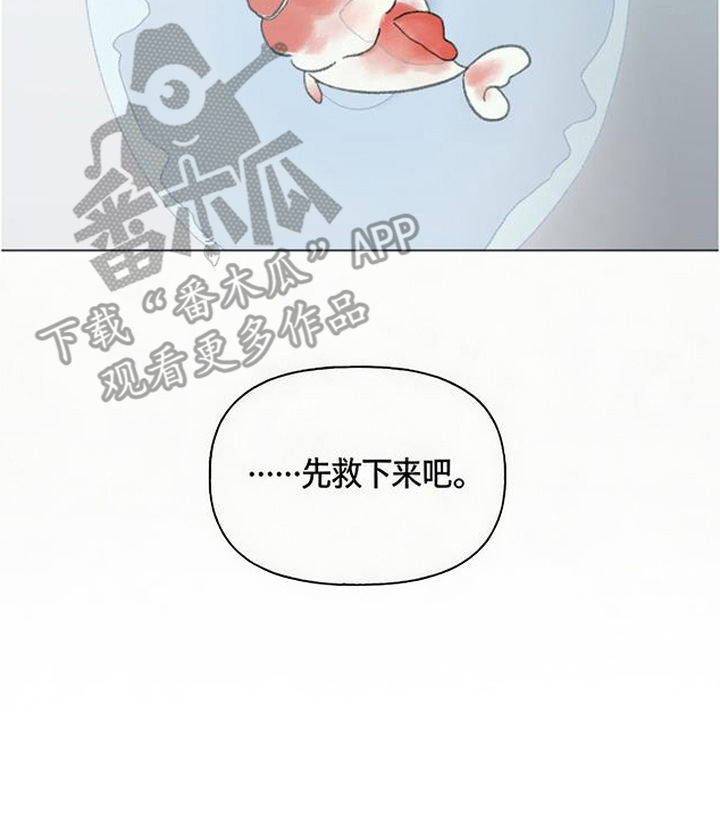 鱼水情深漫画,第1章：搬家2图