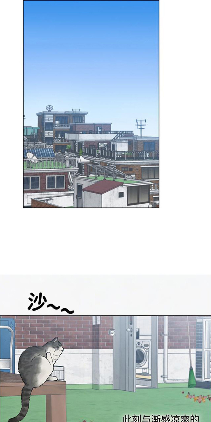 鱼水情深漫画,第10章：迎来平静1图
