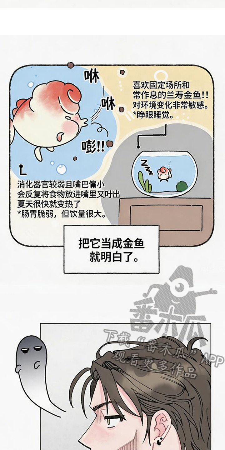 鱼水情深抖音漫画,第7章：摆烂4图