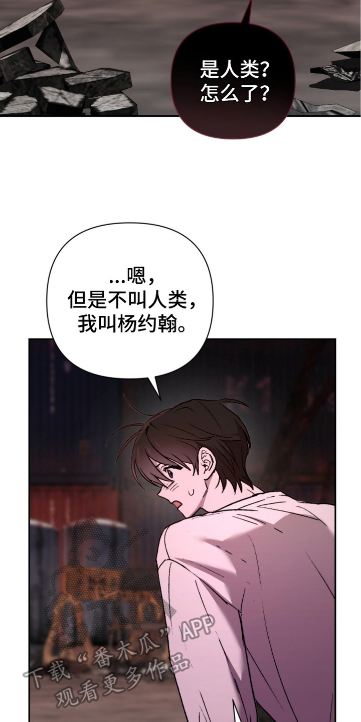 深渊牧羊人漫画,第14章：伤口5图