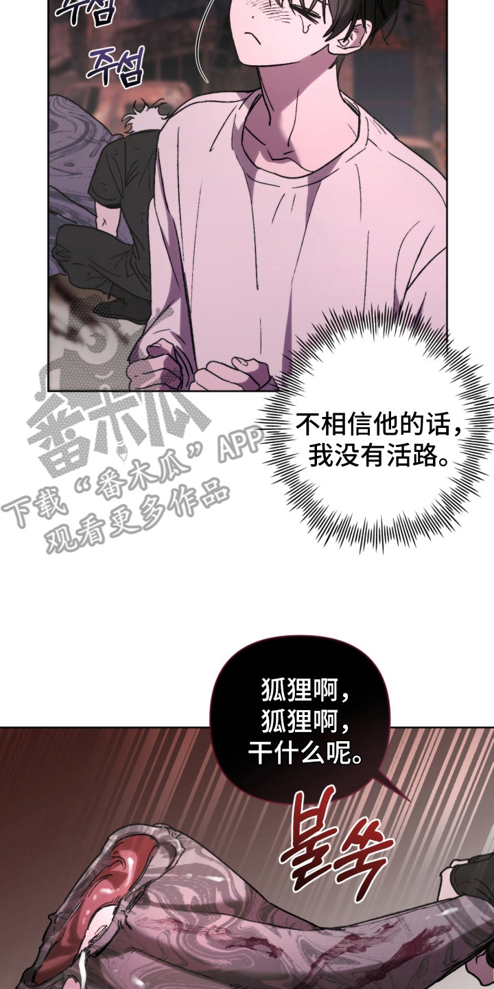 深渊牧羊人漫画,第11章：青蛙3图