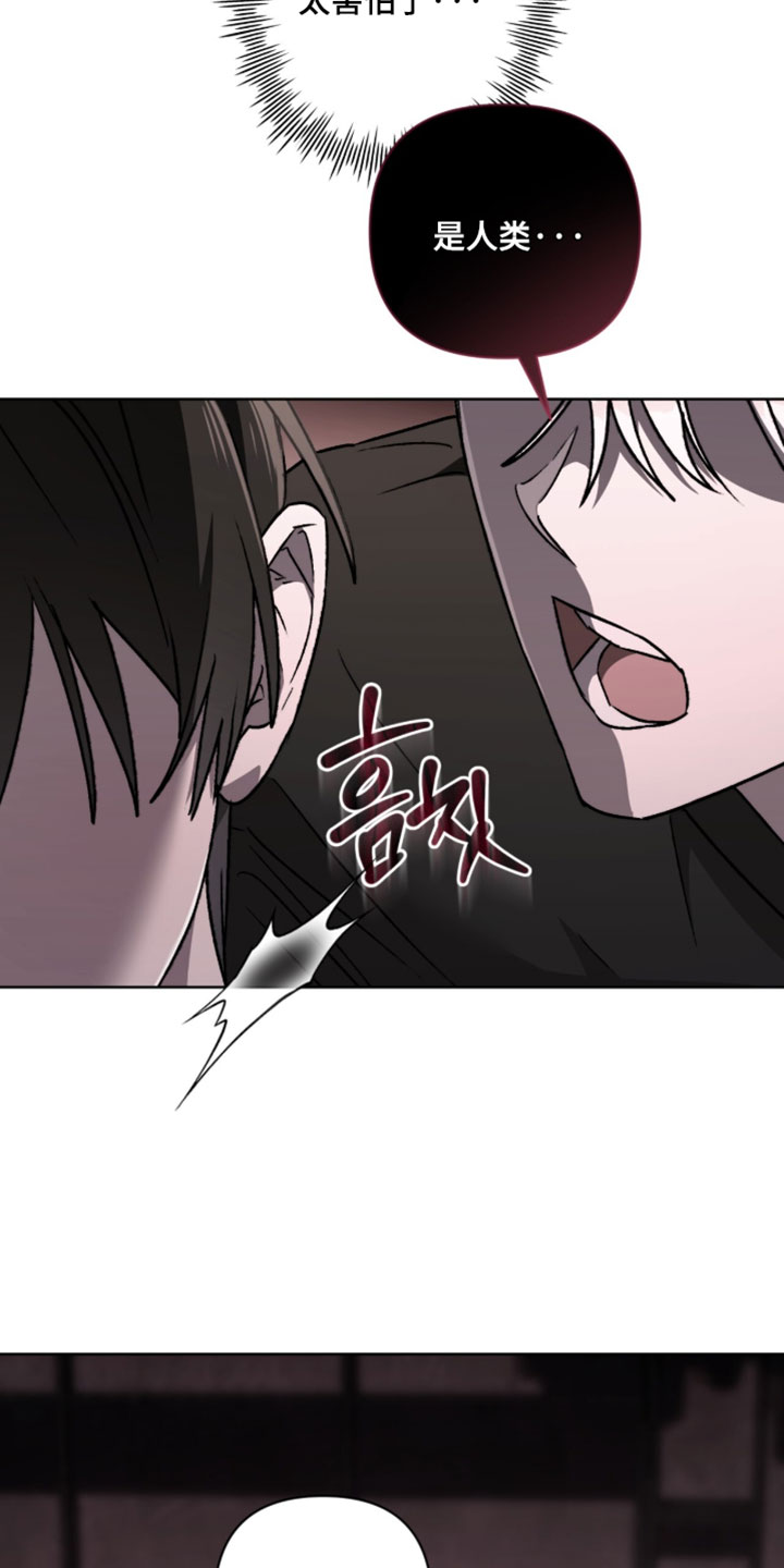 深渊牧羊人漫画,第25章：我的羊5图