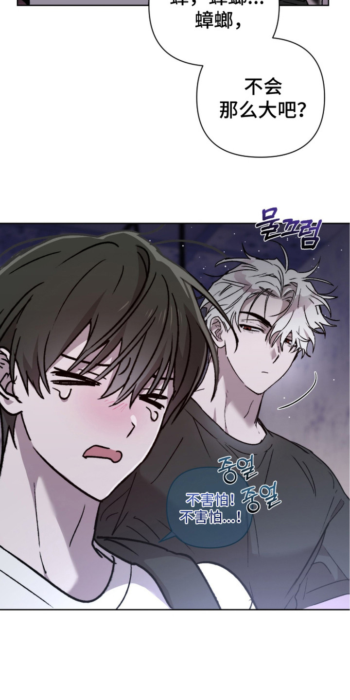 深渊牧羊人漫画,第17章：药店4图