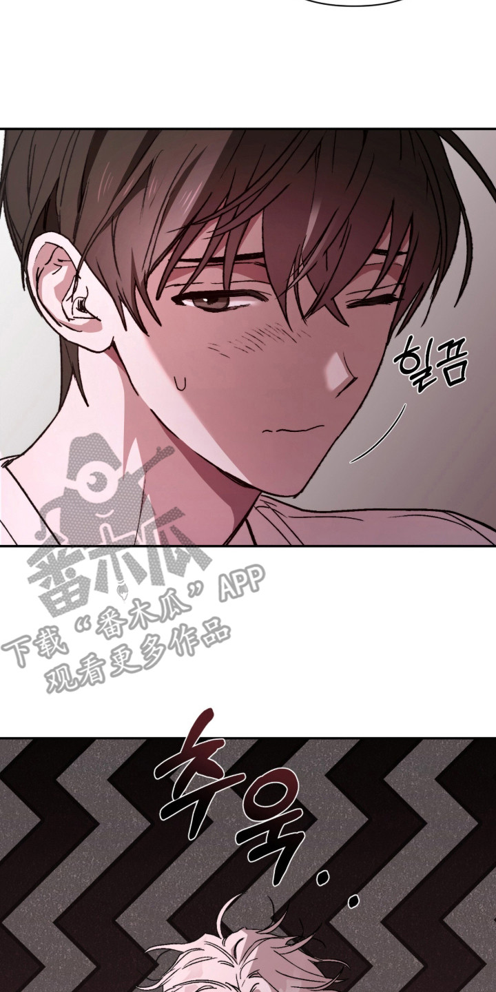 深渊牧羊人漫画,第11章：青蛙1图