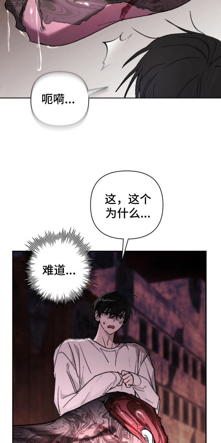 深渊牧羊人漫画,第11章：青蛙4图