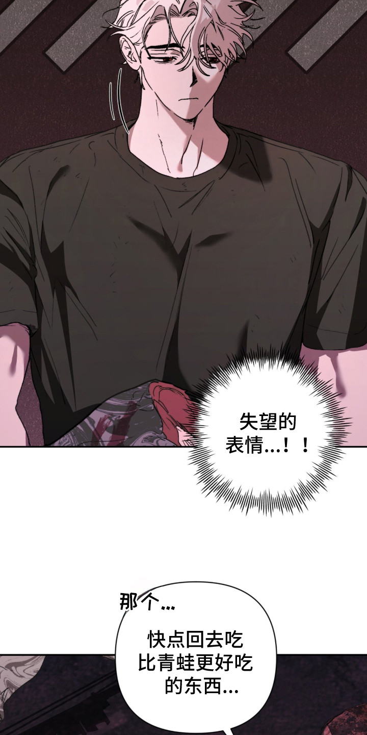深渊牧羊人漫画,第11章：青蛙2图
