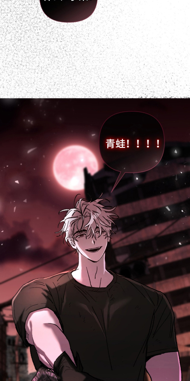 深渊牧羊人漫画,第11章：青蛙1图