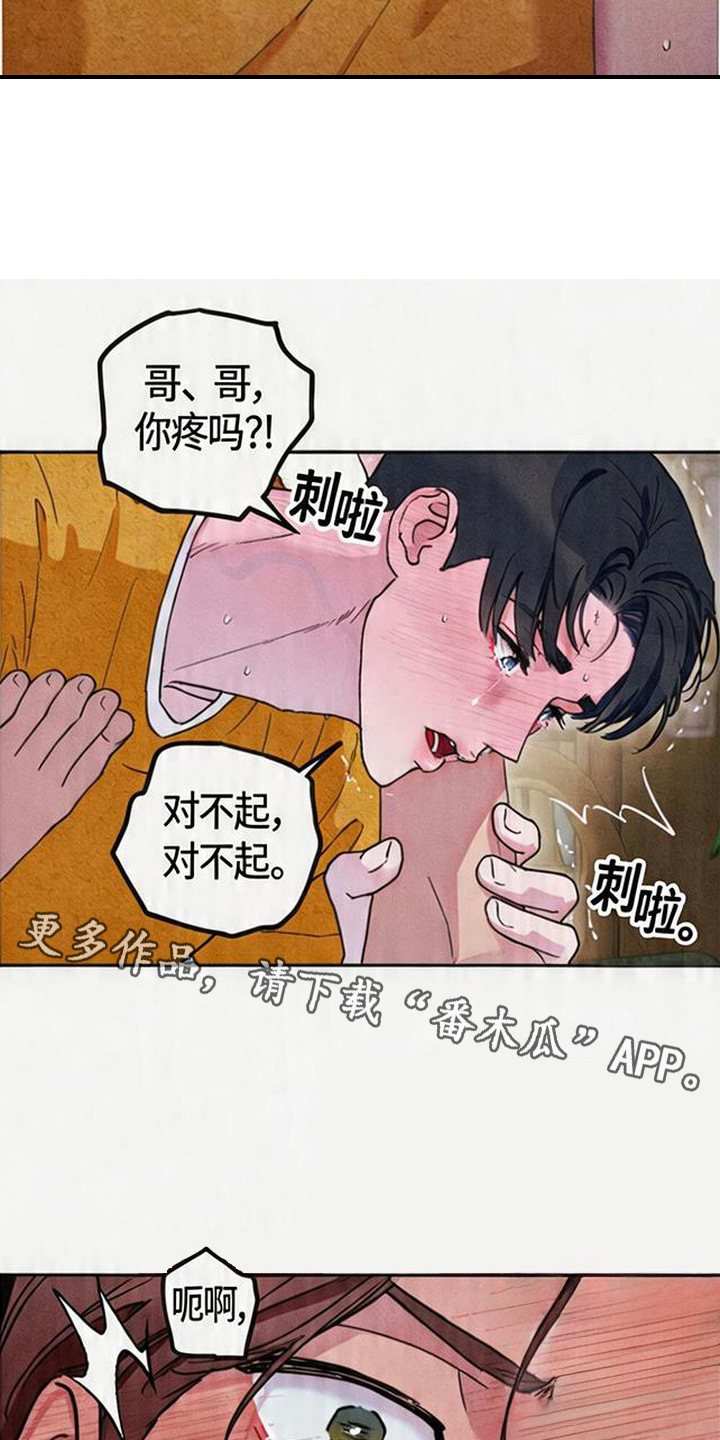 等你说喜欢漫画,第11章：忘了收钱1图