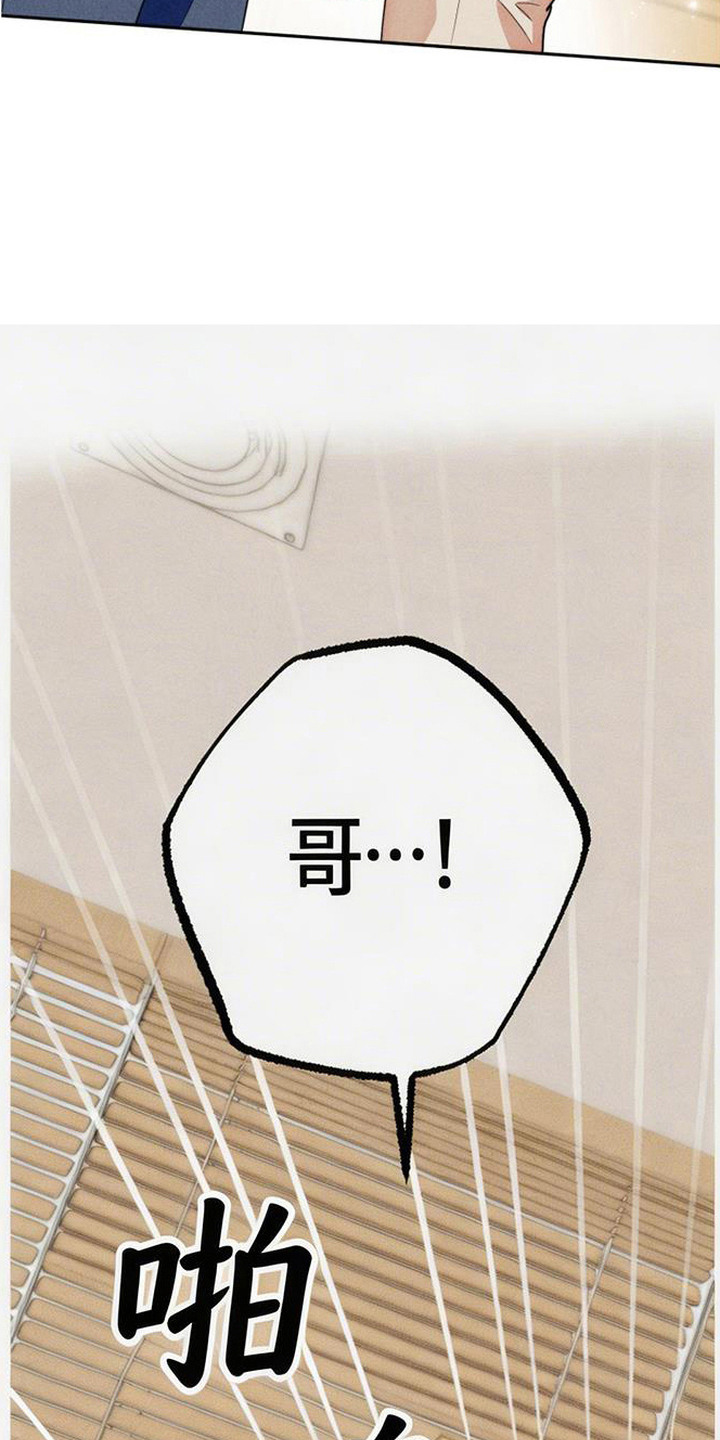 等你说喜欢漫画,第3章：重逢3图