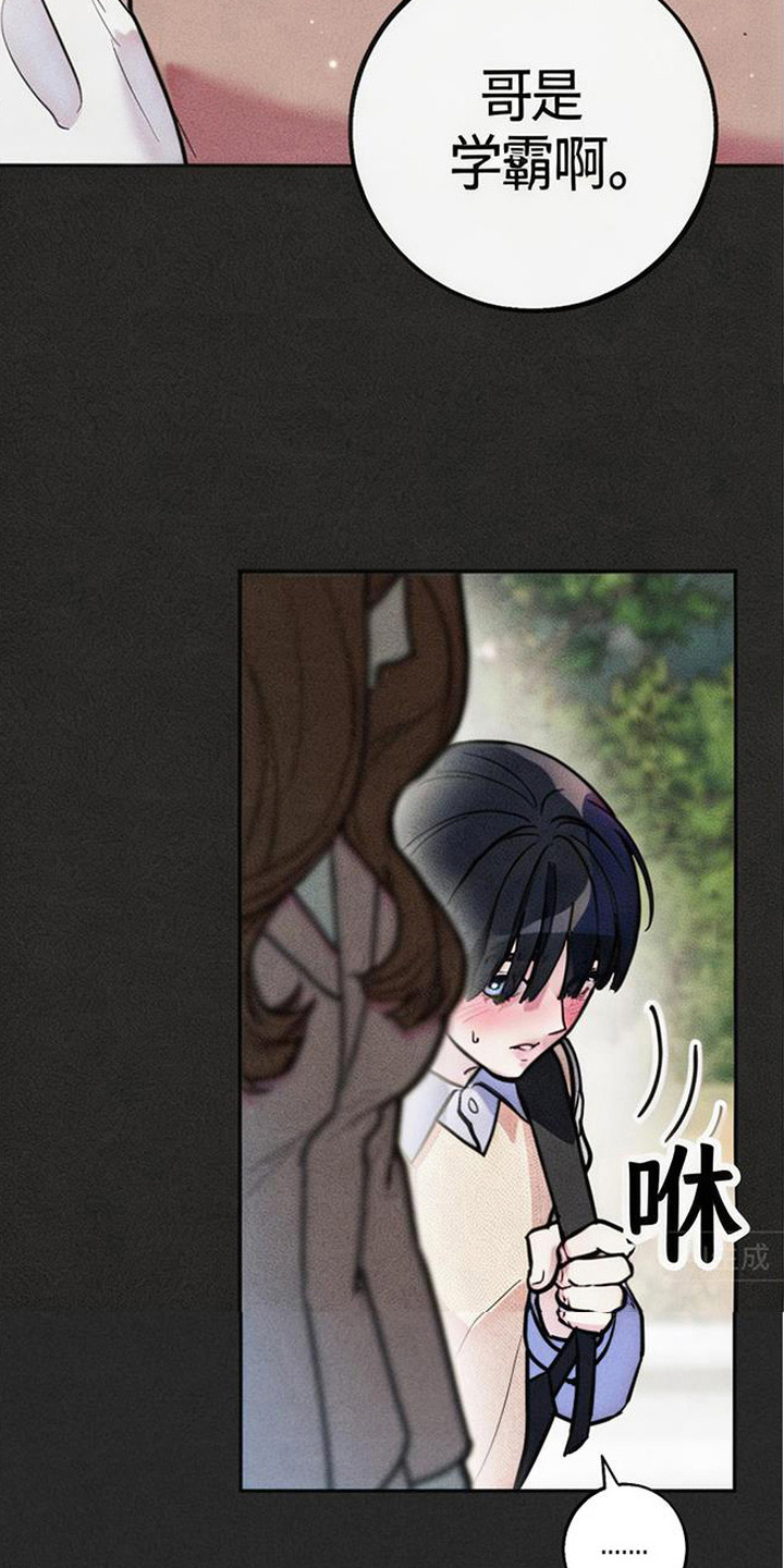 等你说喜欢漫画,第1章：初次相遇4图