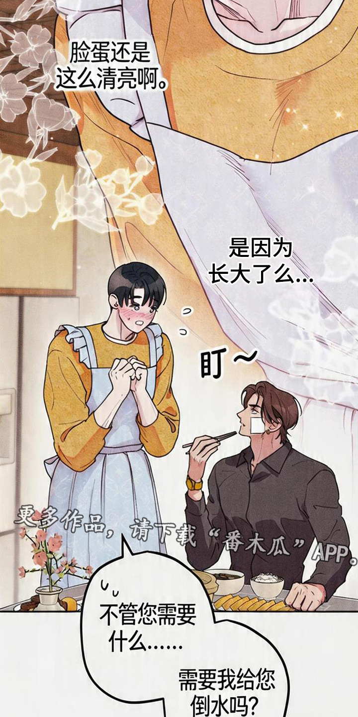 等你说喜欢漫画,第6章：很贤惠4图