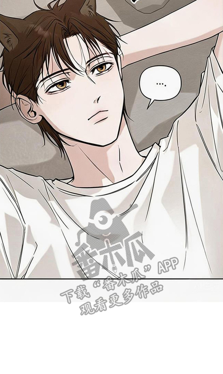 狐祸相依漫画,第13章：到此为止5图