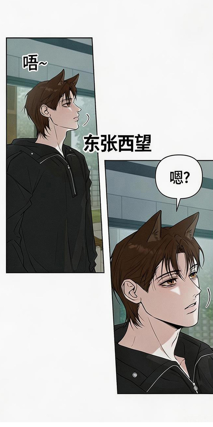 狐祸相依漫画,第14章：跟着出门4图