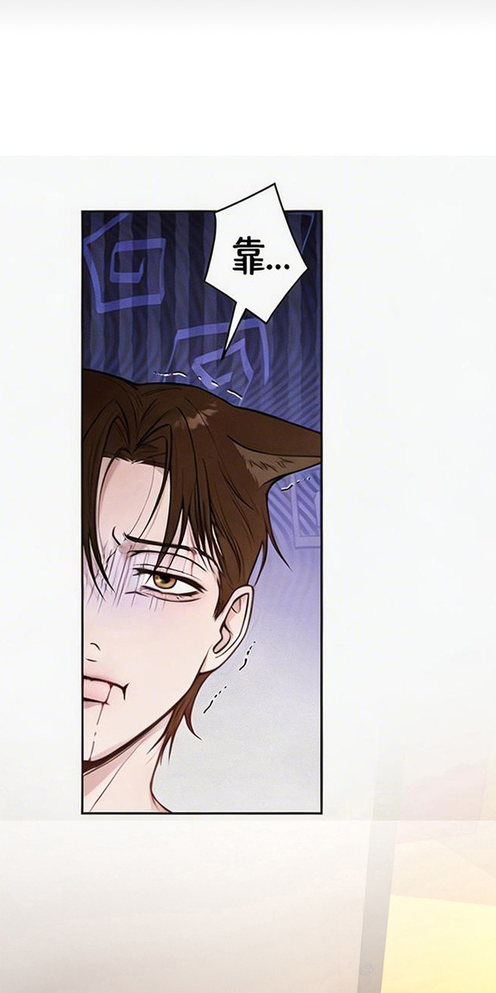 狐祸相依漫画,第6章：做正事1图