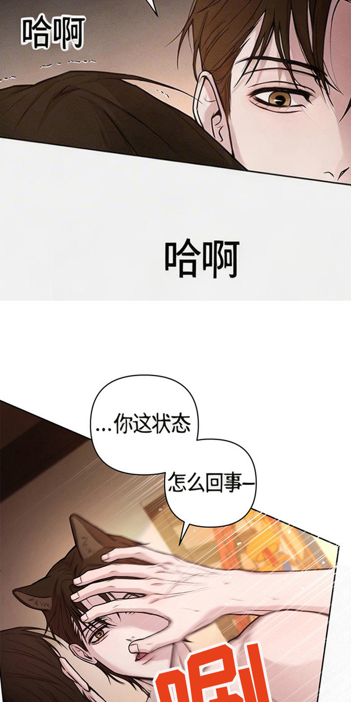 狐祸相依漫画,第6章：做正事5图