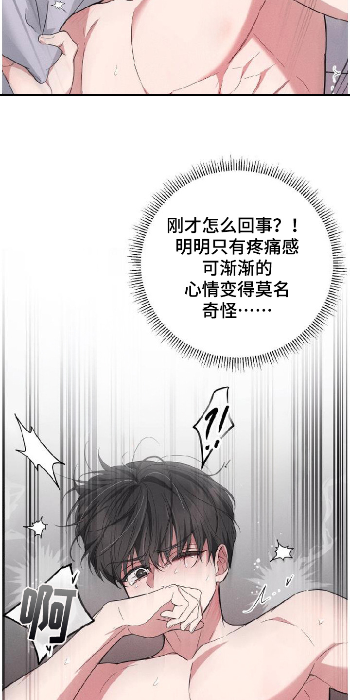 恩宠之夜官网漫画,第8章：奇怪的感觉4图