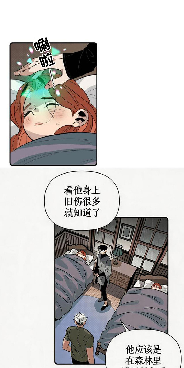 隐居的魔法师漫画,第3章：收留5图