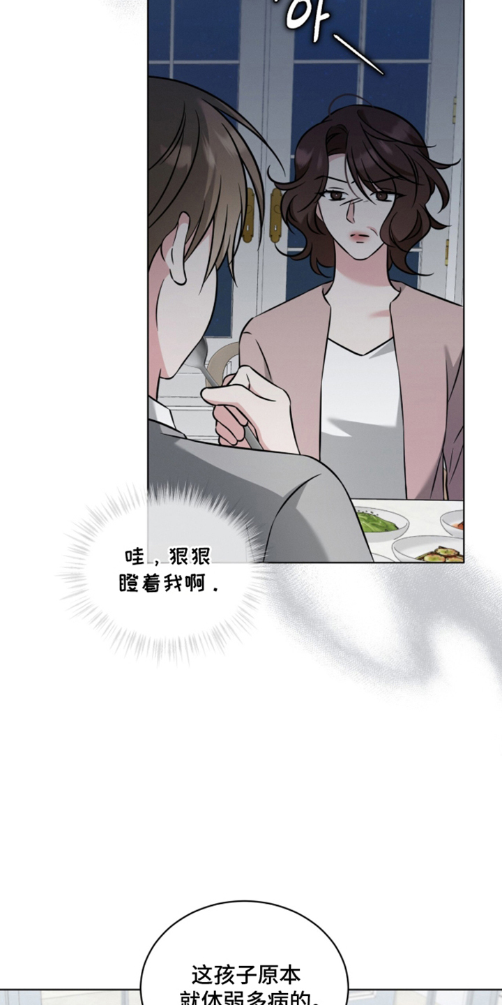 无人机漫画,第5章：真的失忆了吗4图