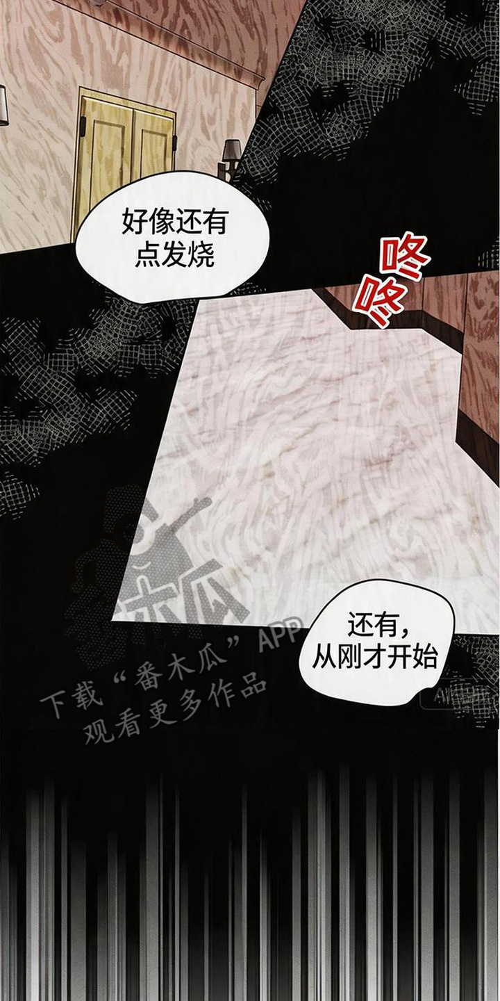 坠落的特技漫画,第2章：下药3图