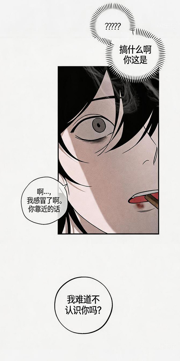 拳心拳意漫画,第14章：不敢对视3图