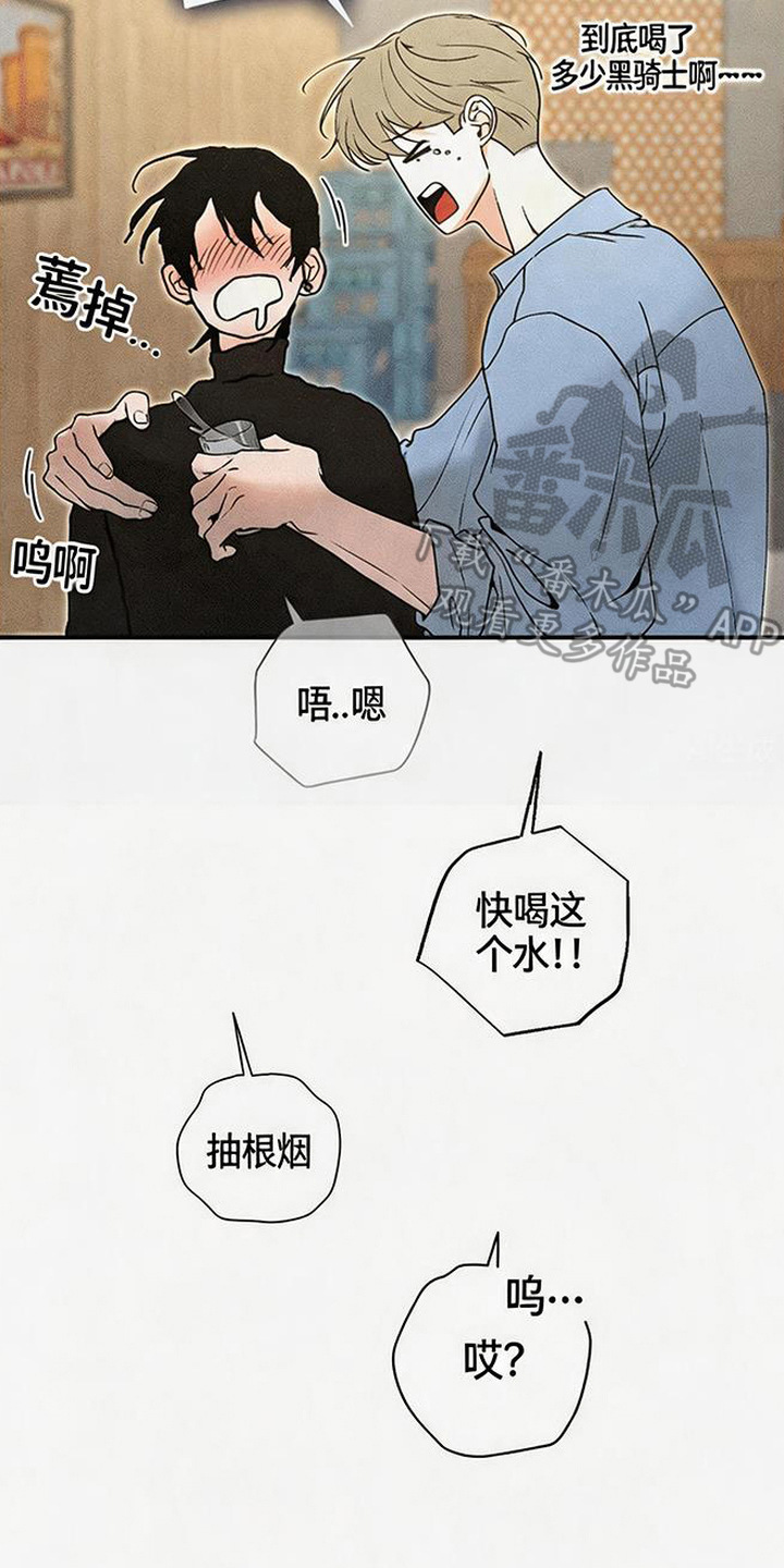 拳心拳意漫画,第15章：黑骑士2图
