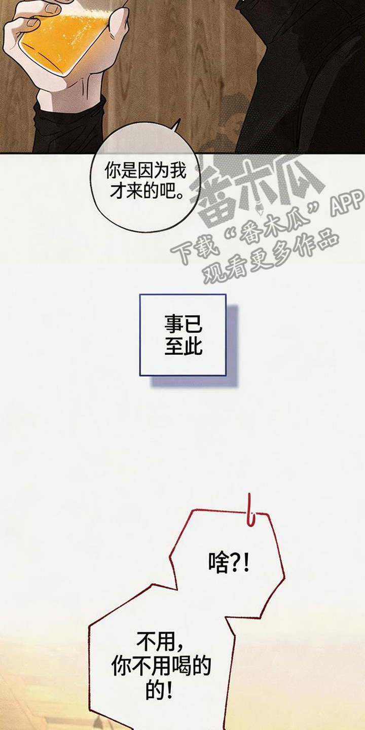 拳心拳意漫画,第15章：黑骑士3图