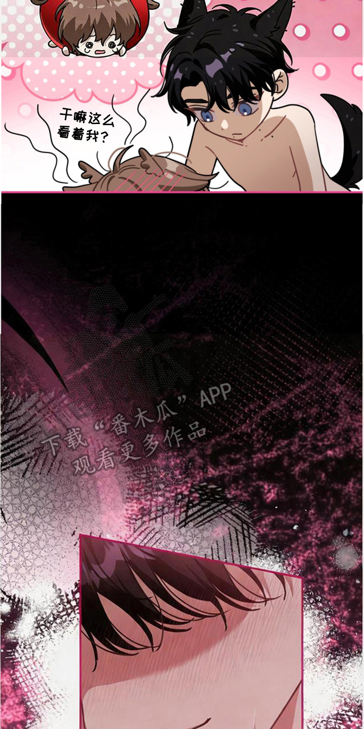 扭曲的守护漫画,第12章：告白（完结）5图