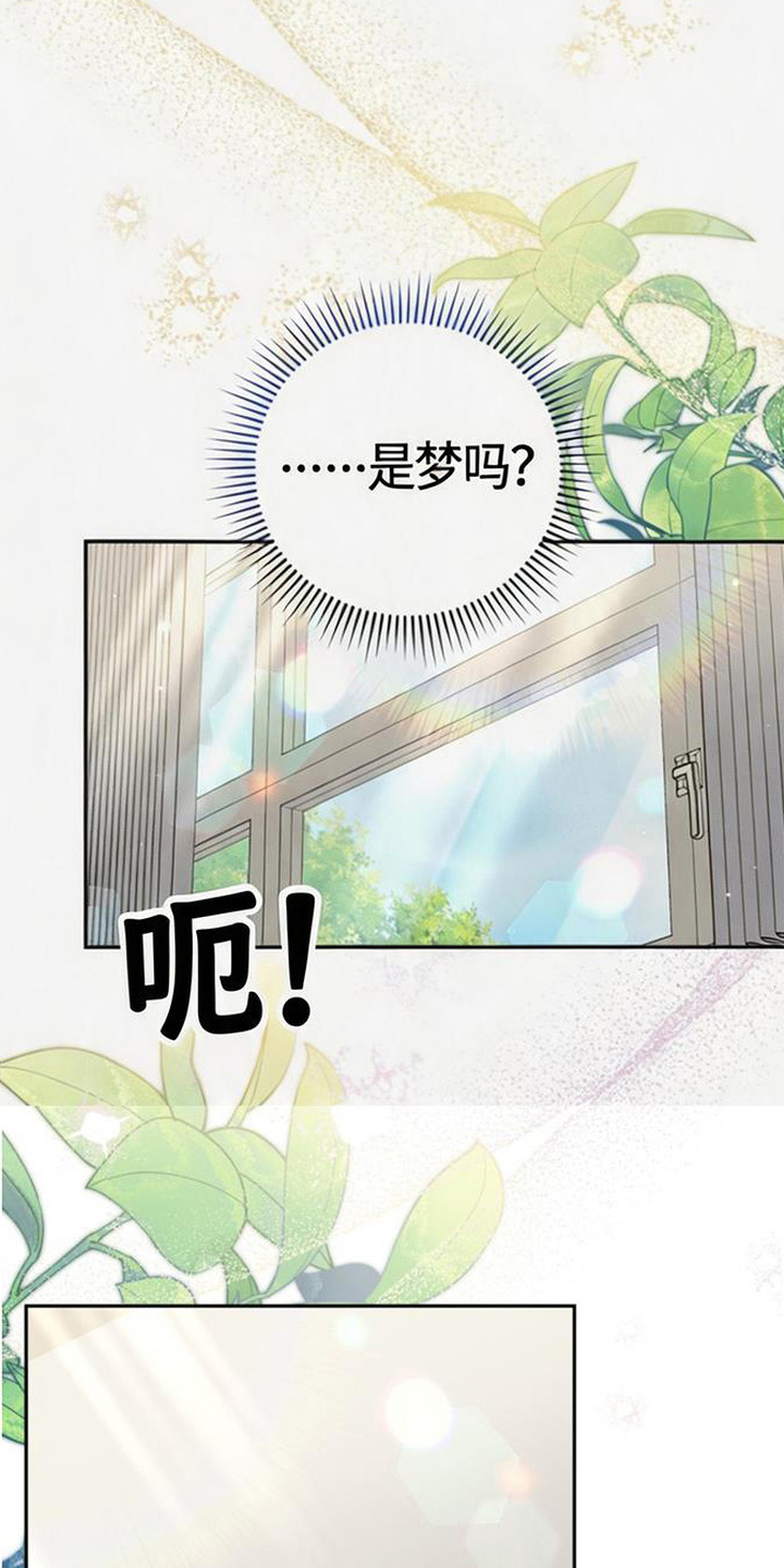 扭曲的守护漫画,第1章：梦5图