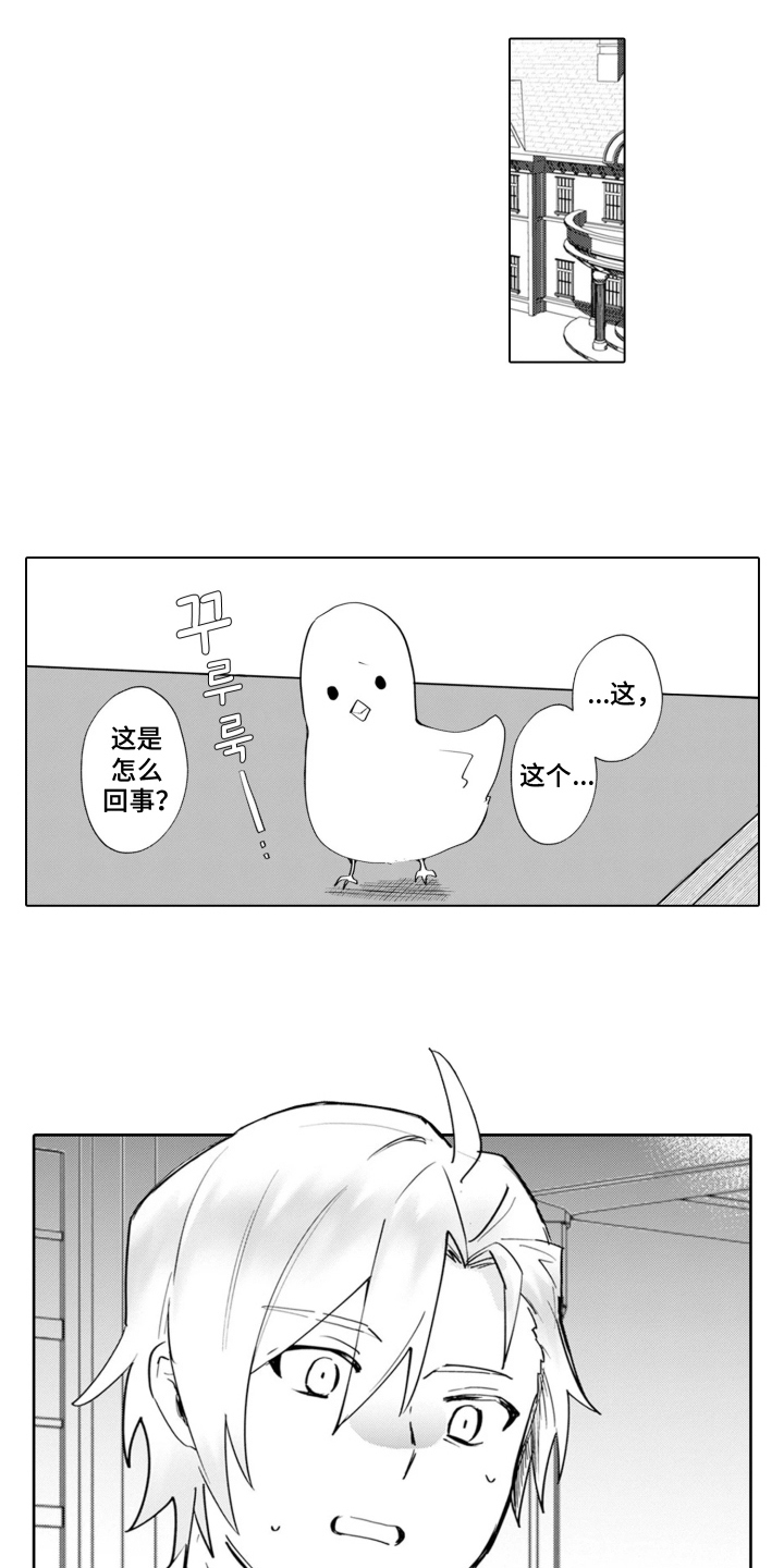 从今天开始爱你漫画,第16章：温室的花朵：没有怀孕2图