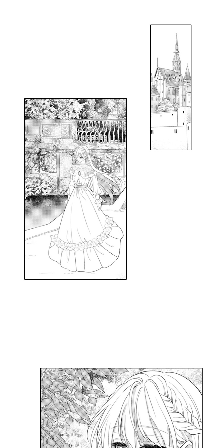 从今天开始爱你漫画,第3章：魔王的女人：小时候的魔兽1图